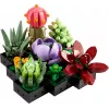 Lego Icons 10309 Suculentas