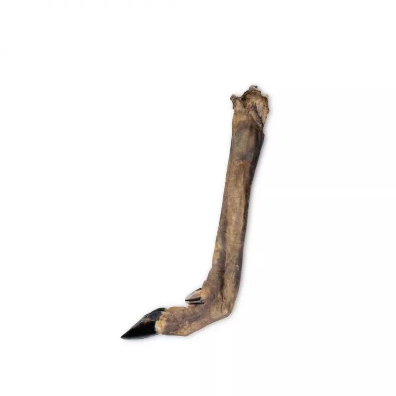 UNISZKI Pezuña de corzo, masticable para perros, 1 ud.