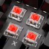 Teclado Sharkoon SKILLER SGK20 rojo