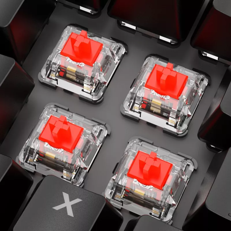 Teclado Sharkoon SKILLER SGK20 rojo