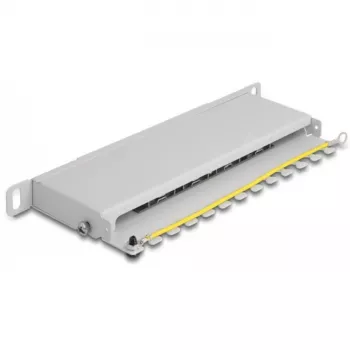 DeLOCK Patch Panel de 10