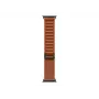 Correa Apple MG9F4ZM/A accesorio para smartwatch marrón titanio
