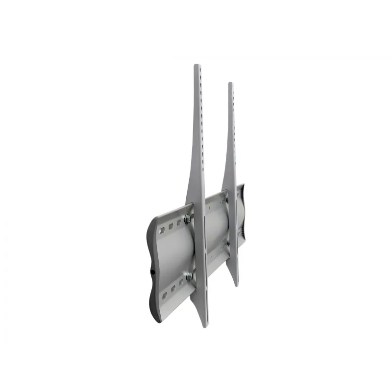 Ergotron 60-604-003 plateado