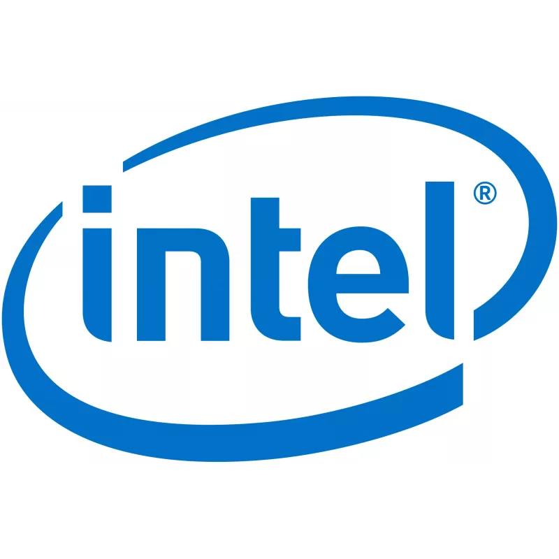Intel Remote Management Module 4 Lite 2 - adaptador de gestión remota (AXXRMM4LITE2)