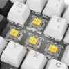 Sharkoon SGK50 S4 teclado Home USB QWERTZ alemán blanco RGB LED 60%
