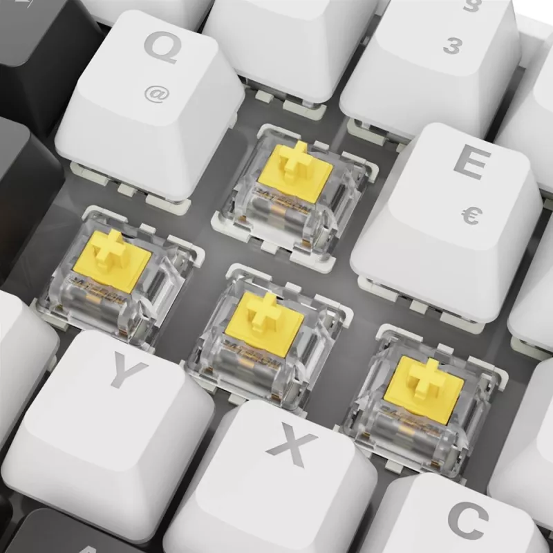 Sharkoon SGK50 S4 teclado Home USB QWERTZ alemán blanco RGB LED 60%