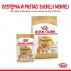 Comida seca Royal Canin Pomeranian Adult 3 kg – fórmula para razas pequeñas para pomeranias adultos