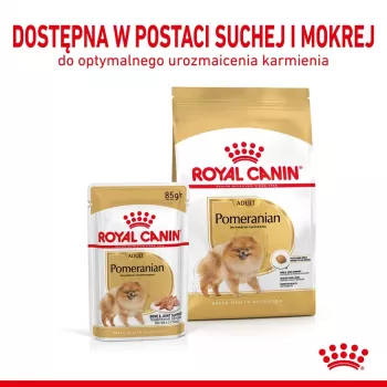 Comida seca Royal Canin Pomeranian Adult 3 kg – fórmula para razas pequeñas para pomeranias adultos