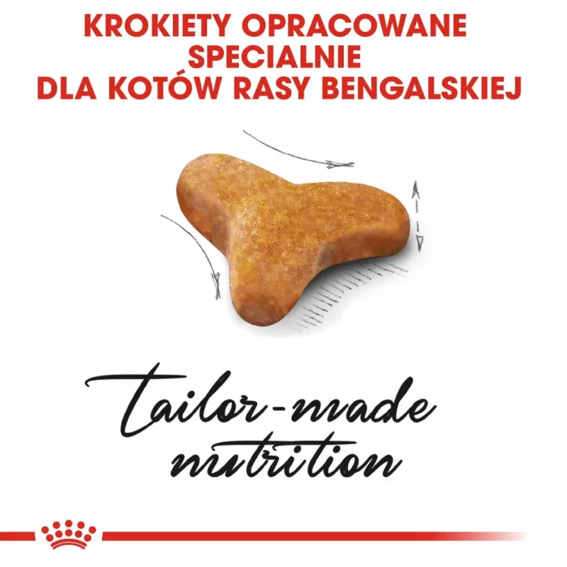 Royal Canin FBN Bengal Adult comida seca para gatos, 10 kg
