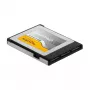 Tarjeta de memoria DeLOCK 54066 256 GB CFexpress