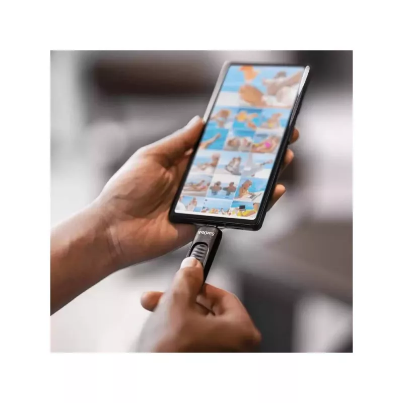 Memoria USB SanDisk 128 GB USB Type-C SDCZ480-128G-G46