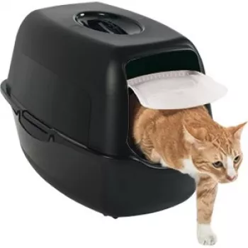 Arenero para gatos con tapa Rotho Bailey Cat negro 560×400×390 mm, filtro de carbón, puerta abatible, asa