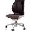Soporte lumbar para silla/Back Angel 8026401 FELLOWES