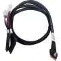 Cable SAS ADAPTEC Microchip Technology 2305500-R SlimSAS ×8 a 2×2SFF-8639 U.2, 0,8 m, negro