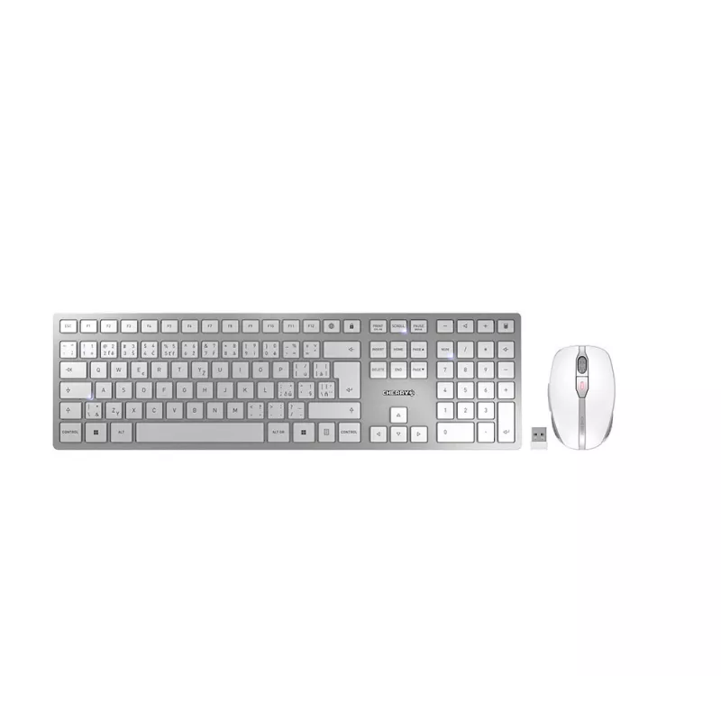 CHERRY DW 9100 Teclado y ratón incluidos universal RF Wireless + Bluetooth checo, eslovaco plateado