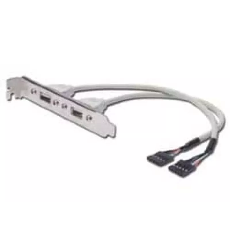 Cable con placa de ranura USB Digitus AK-300301-002-E
