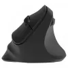 Ratón inalámbrico ergonómico para diestros, Dual WL+BT