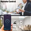 Enchufe de pared inteligente WiFi Tellur TLL331531 – 3600 W 16 A, control remoto por WiFi