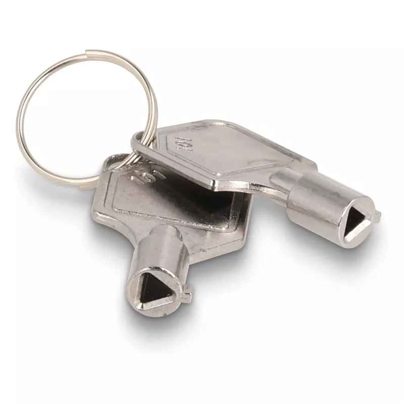 Delock Slim - Rack de almacenamiento móvil - slim bay (47005)