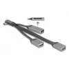 DeLOCK 64303 Hub USB 3.2 Gen 1 Type-C 5000 Mbit/s Gris