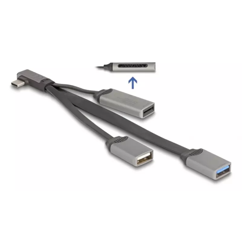 DeLOCK 64303 Hub USB 3.2 Gen 1 Type-C 5000 Mbit/s Gris