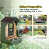 EASYPIX Bird Camera Easypix Bird Cam 10123 1080p HD visión nocturna