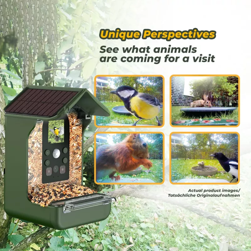 EASYPIX Bird Camera Easypix Bird Cam 10123 1080p HD visión nocturna