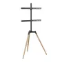 Soporte de suelo para accesorio de TV 32-65/TRIPOD TVS-65S-01 Gembird