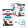 Comida húmeda para gatos Royal Canin Urinary Care adultos aves 85 g bolsa (pack de 12)