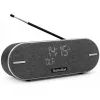 Radio portátil TechniSat DIGITRADIO BT 2 DAB+ FM 20W