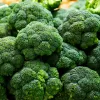 PNOS brócoli Caesar semillas de hortalizas, 2 g