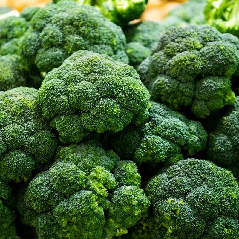 PNOS brócoli Caesar semillas de hortalizas, 2 g