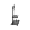 Soporte móvil para TV LCD/LED ART S-13 37-100 150 kg