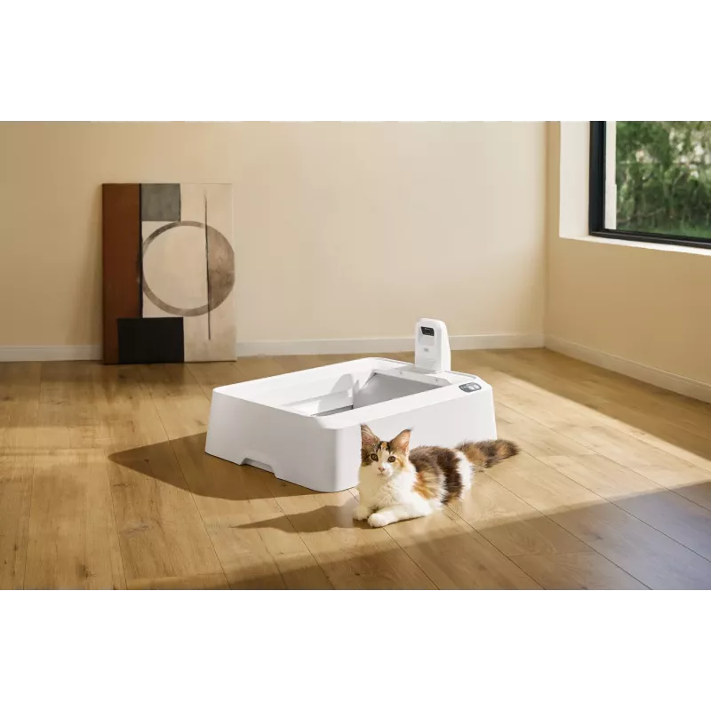 Arenero autolimpiable para gatos PETKIT T7-EU, blanco
