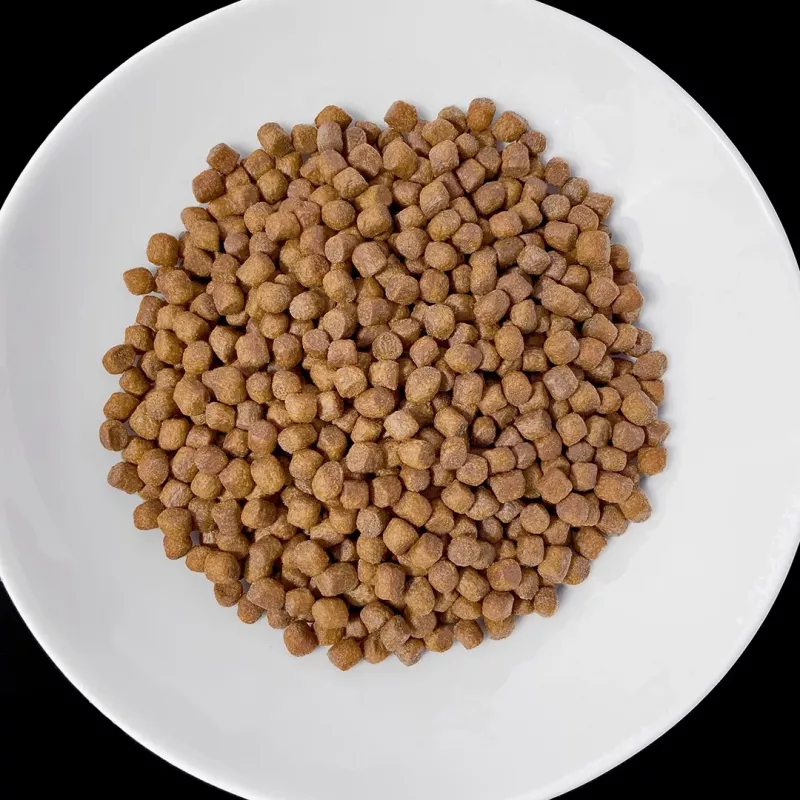 VET RESPONSE Renal - Pienso seco para perros - 8 kg