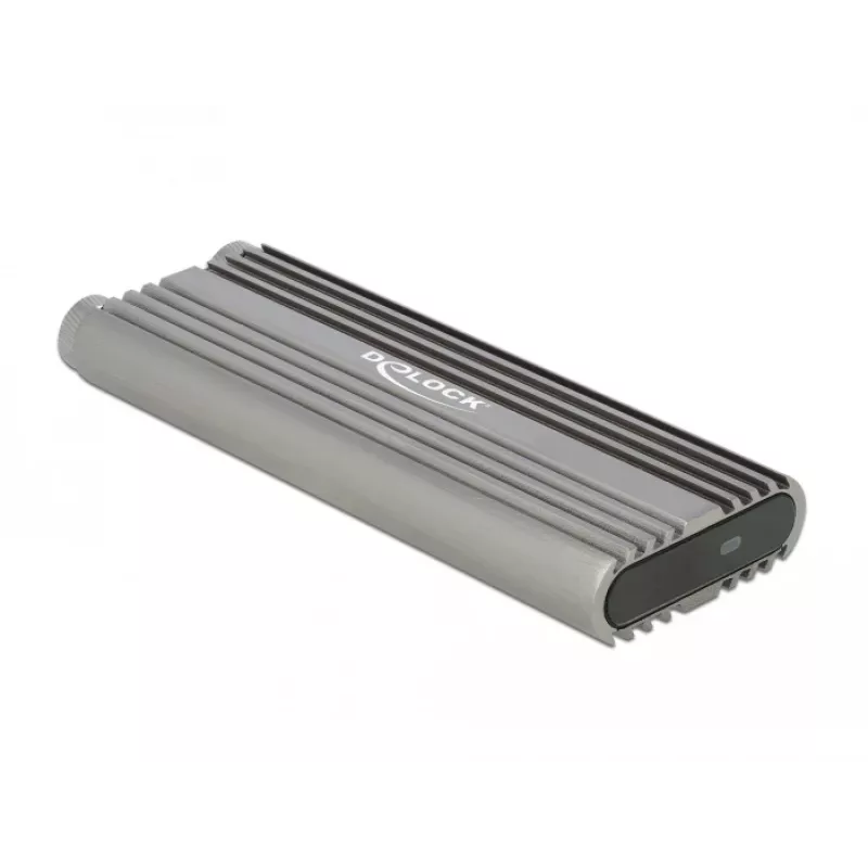Carcasa para SSD DeLOCK 42001 plateada M.2