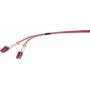 Renkforce RF-4942830 cable de conexión de fibra óptica [1x conector macho LC - 1x conector macho LC] 50/125 µ multimodo OM4 1,00 m (RF-4942830)