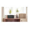 Edifier | Altavoz activo compacto | D12 | Bluetooth | Conexión inalámbrica