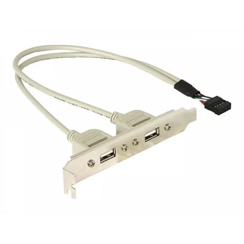 Soporte de ranura 1x USB interno de 5 pines a 2x USB 2.0 externo DeLOCK 71000
