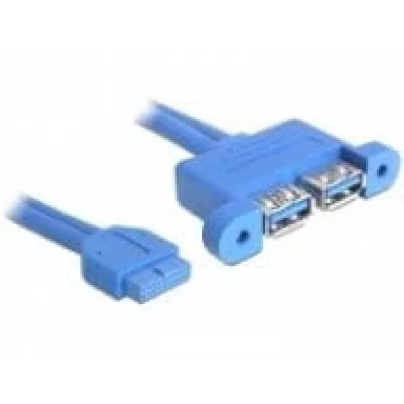 Cable USB DeLOCK 82941 USB 3.2 Gen 1 0,45 m 2 x USB A azul