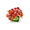 LEGO BOTANICALS 10348 Bonsái de arce rojo japonés
