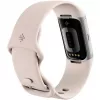 Fitbit GA05185-EU Producto Plata