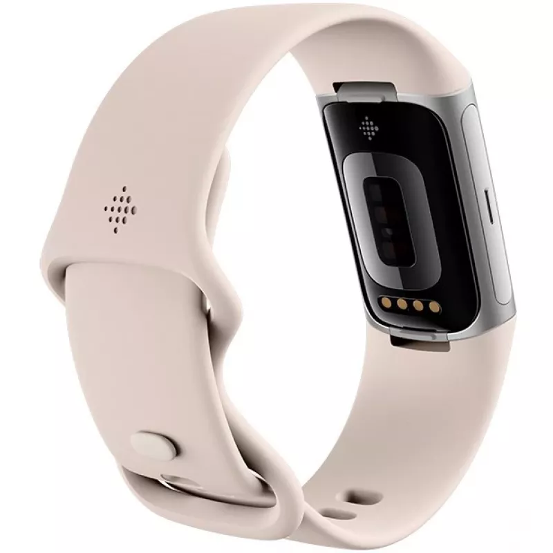 Fitbit GA05185-EU Producto Plata