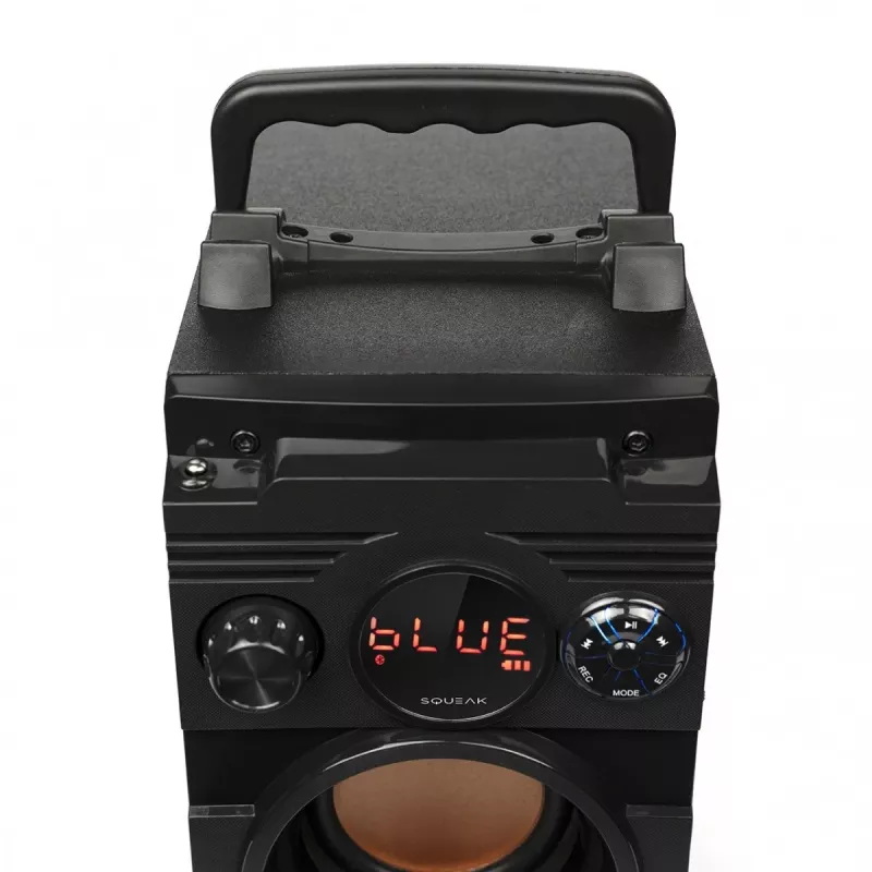 Squeak Bassblaster Altavoz Bluetooth 5.1, radio FM, reproductor MP3 SQ1001