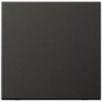 JUNG AL 2990 AN Tecla para interruptor, negro, IP44