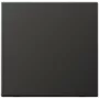 JUNG AL 2990 AN Tecla para interruptor, negro, IP44