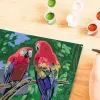 Ravensburger Pintar por números - Loros coloridos
