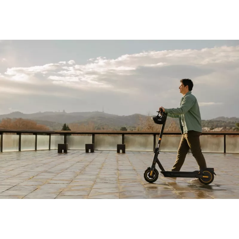 Patinete clásico Ninebot by Segway KickScooter MAX G2 D