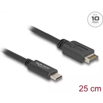 Cable USB DeLOCK USB Type-E Key A de 20 contactos conector macho a conector macho USB Type-C 25 cm