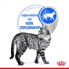 Comida húmeda para gatos Royal Canin Indoor Sterilized 85 g bolsa — gatos adultos esterilizados de interior, sabor aves, pack 12 x 85 g